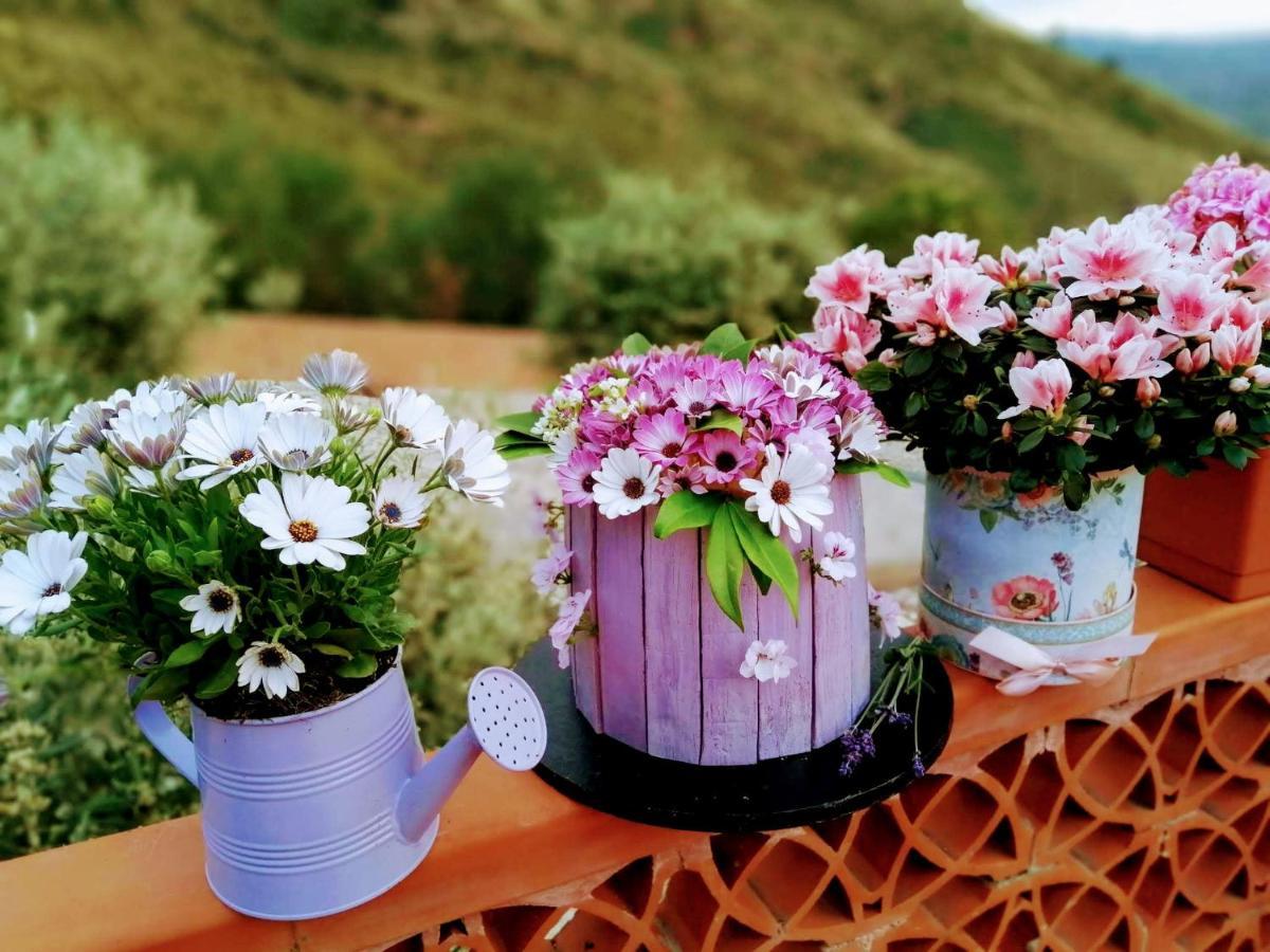 Villa Verde เชฟาลู ภายนอก รูปภาพ